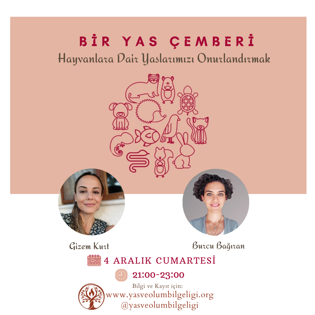 Bir Yas Çemberi – Hayvanlara Dair Yaslarımızı Onurlandırmak
