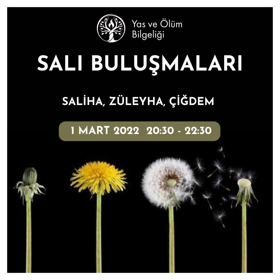 Yas ve Ölüm Bilgeliği Salı Buluşmaları