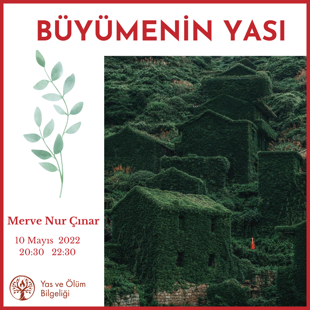 Büyümenin Yası
