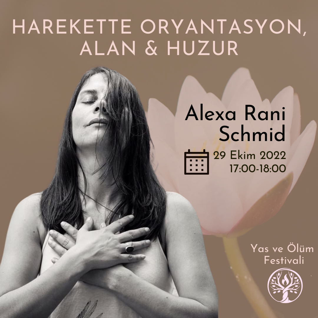 Harekette Oryantasyon, Alan ve Huzur