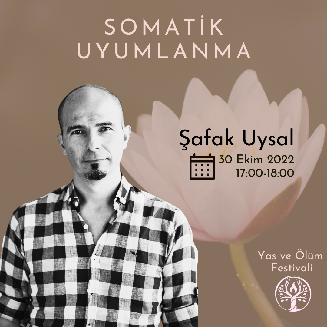 Somatik Uyumlanma