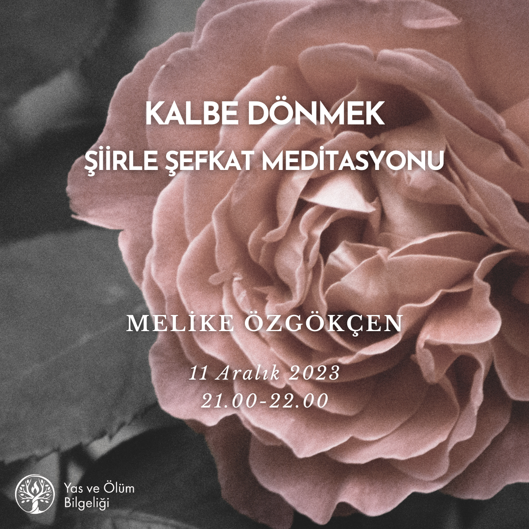 Kalbe Dönmek – Şiirle Şefkat Meditasyonu